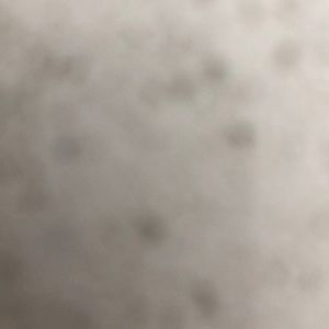 Meet your Posher, Macy